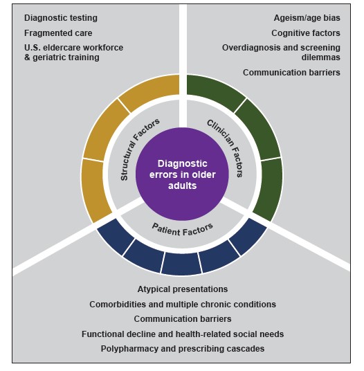 Figure is two concentric circles divided into three sections. The first section is captioned Diagnostic testing, Fragmented care, US eldercare workforce and geriatric training; the outer circle is captioned Structural Factors. The second section is captioned Age/ageism bias. Cognitive factors, Overdiagnosis and screening dilemmas, Communication barriers; the outer circle is captioned Clinician Factors. The third section is captioned Atypical presentations, Comorbidities and multiple chronic conditions, Communication barriers, Functional decline and health related social needs, Polypharmacy and prescribing cascades; the outer circle is captioned Patient Factors. The inner circle is captioned Diagnostic errors in older adults.