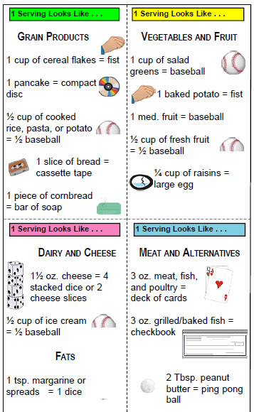 Picture of a poster showing portion sizes for grains, vegetables and fruit, dairy and cheese, meat, and fats.